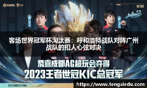 客场世界冠军杯淘汰赛：呼和浩特战队对阵广州战队的扣人心弦对决