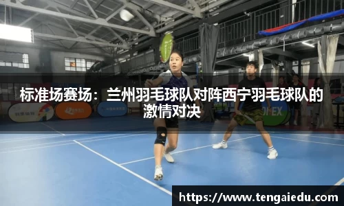 标准场赛场：兰州羽毛球队对阵西宁羽毛球队的激情对决