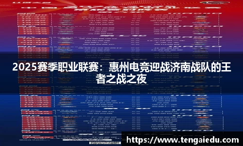 2025赛季职业联赛：惠州电竞迎战济南战队的王者之战之夜